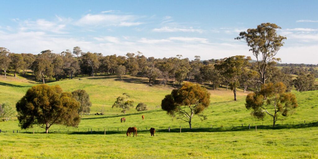 Wildlife, Native Plants and Life Around Horse Properties