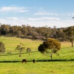Wildlife, Native Plants and Life Around Horse Properties