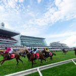 Beyond the Racecourse: Australia’s Enduring Love of Horses